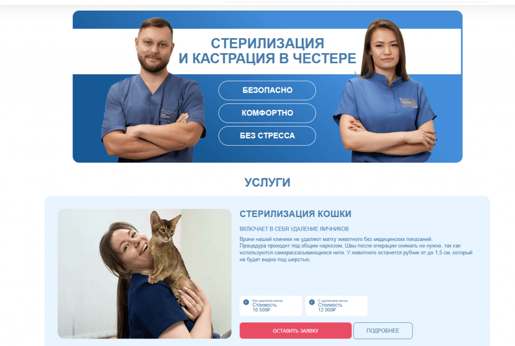 График роста органического трафика за 3 месяца